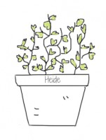 Heide