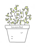 Lavendel
